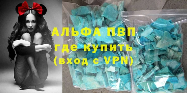 хмурый Белокуриха