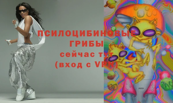 дживик Баксан