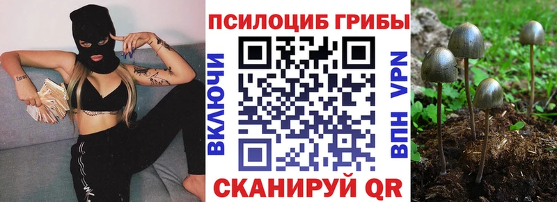 Галлюциногенные грибы ЛСД  Суздаль 